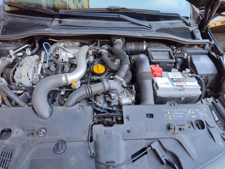 Renault Clio - 15