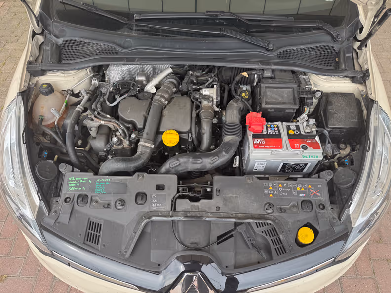 Renault Clio - 30