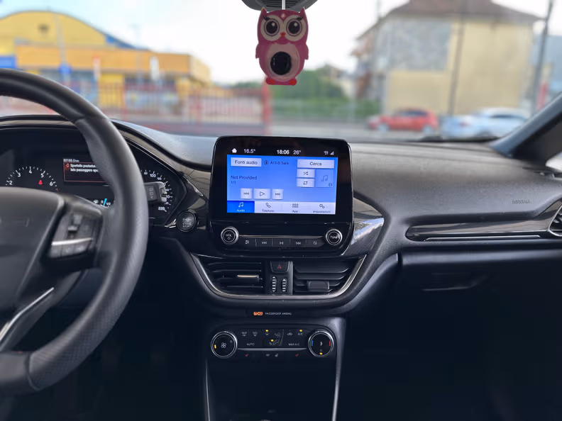 Ford Fiesta - 28