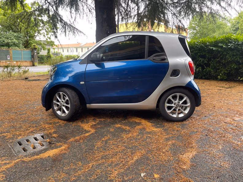 Smart Fortwo - 8