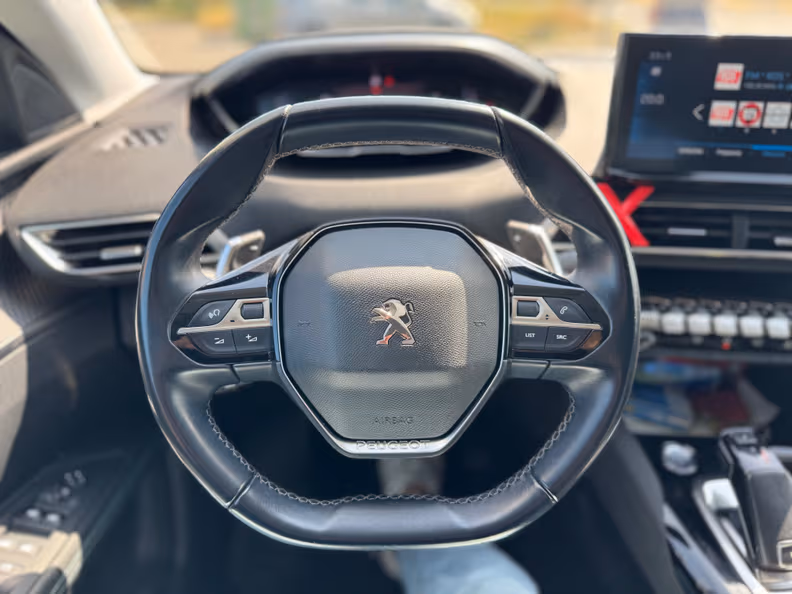 Peugeot 3008 - 15