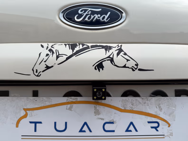 Ford EcoSport - 12