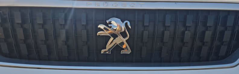 Peugeot Expert - 15