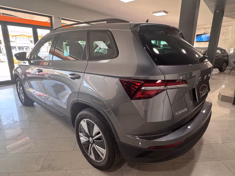 Škoda Karoq - 6