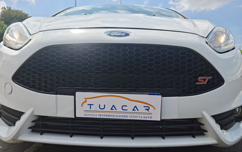 Ford Fiesta - 15