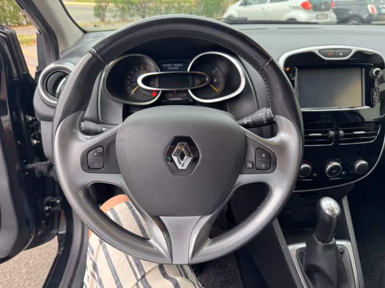 Renault Clio - 16