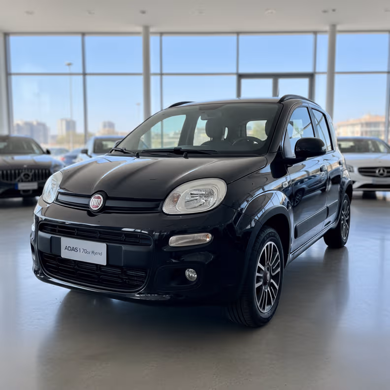 Fiat Panda - 1