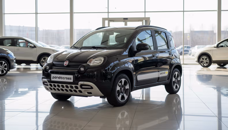 Fiat Pandina - 1