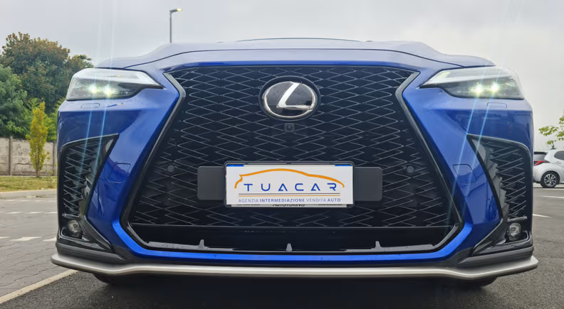 Lexus NX-Series - 13