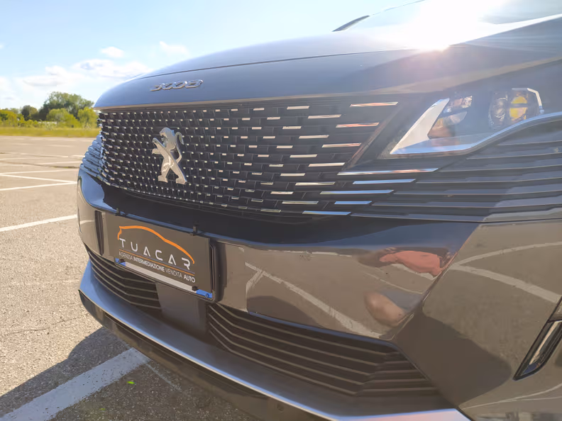 Peugeot 3008 - 16