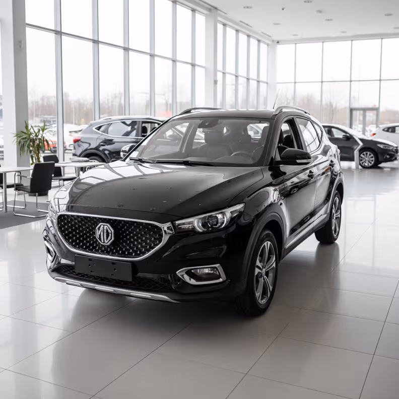 Mg NEW ZS - 1