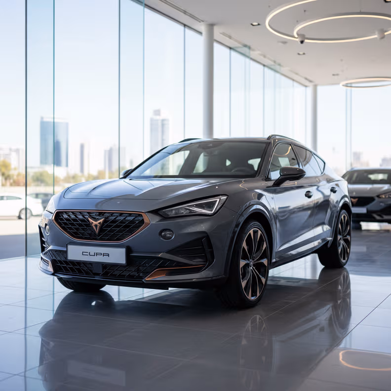 Cupra Terramar - 4