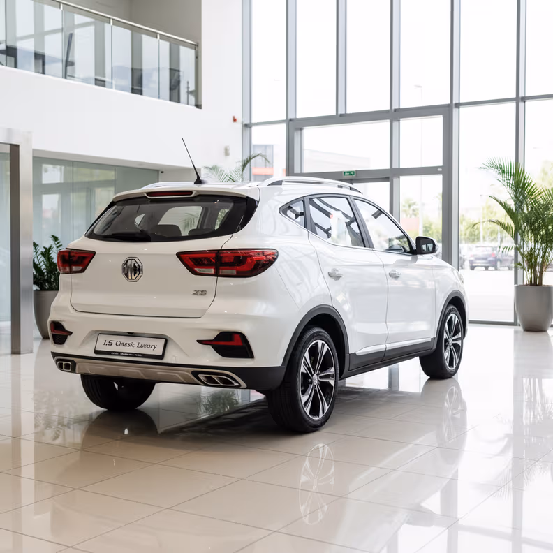 Mg ZS - 2