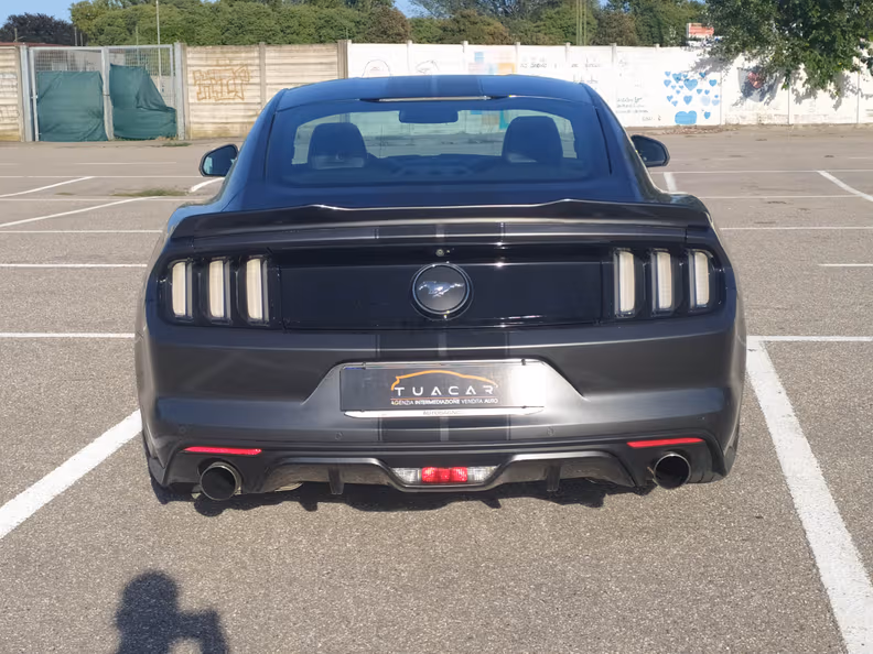 Ford Mustang - 14