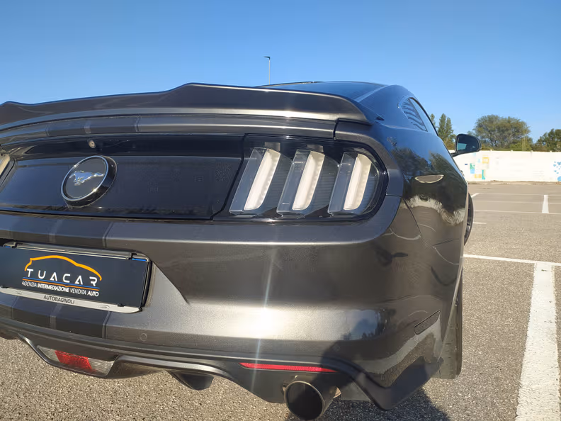 Ford Mustang - 29