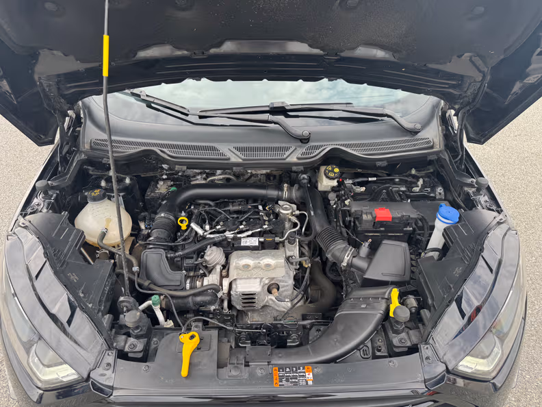 Ford EcoSport - 36