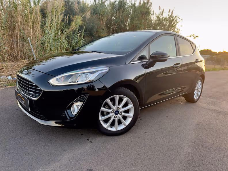 Ford Fiesta - 1