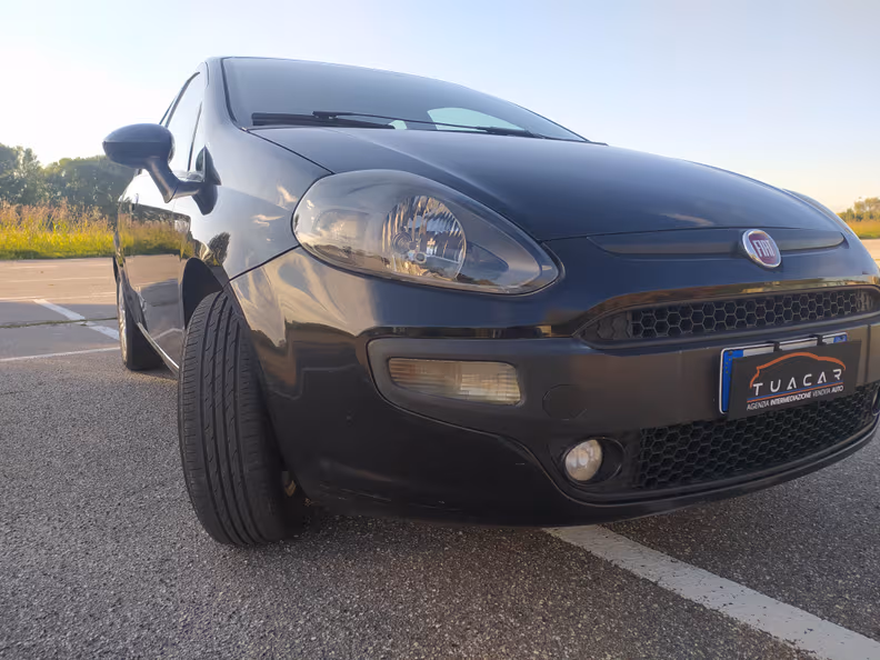 Fiat Punto - 17