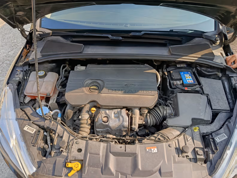 Ford Focus - 51