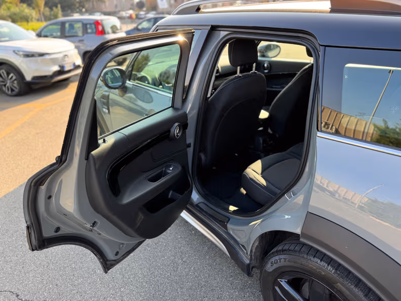 Mini Countryman - 23