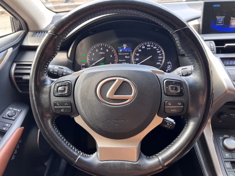 Lexus NX-Series - 27