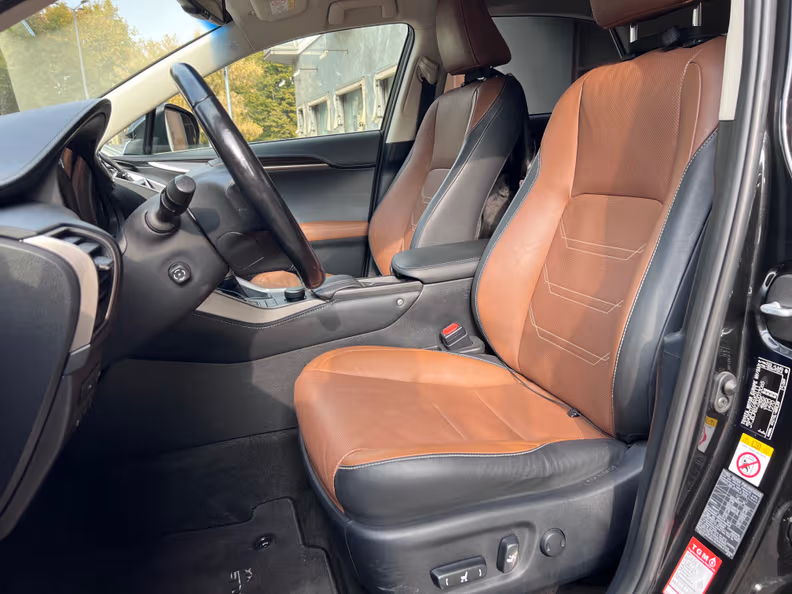 Lexus NX-Series - 10