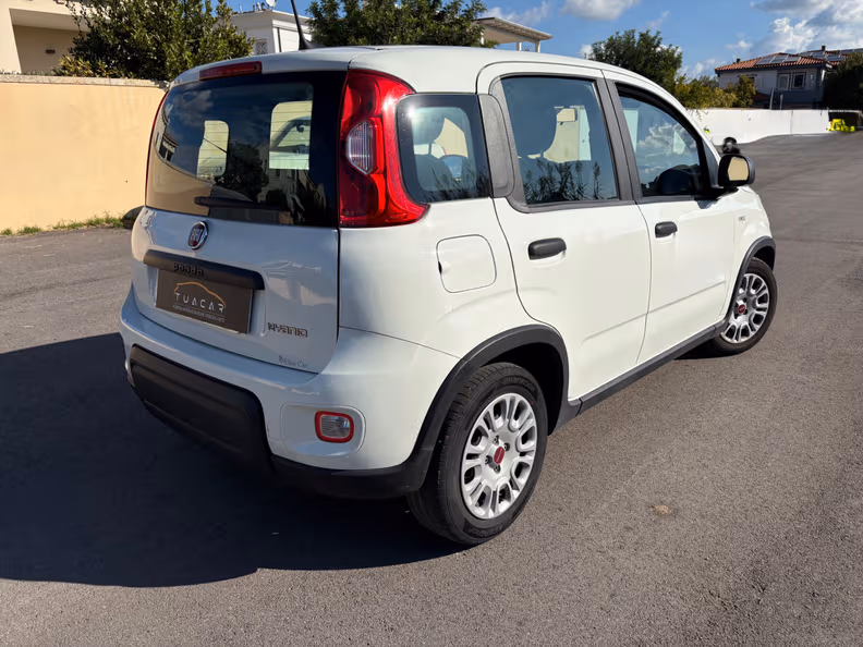 Fiat Panda - 5