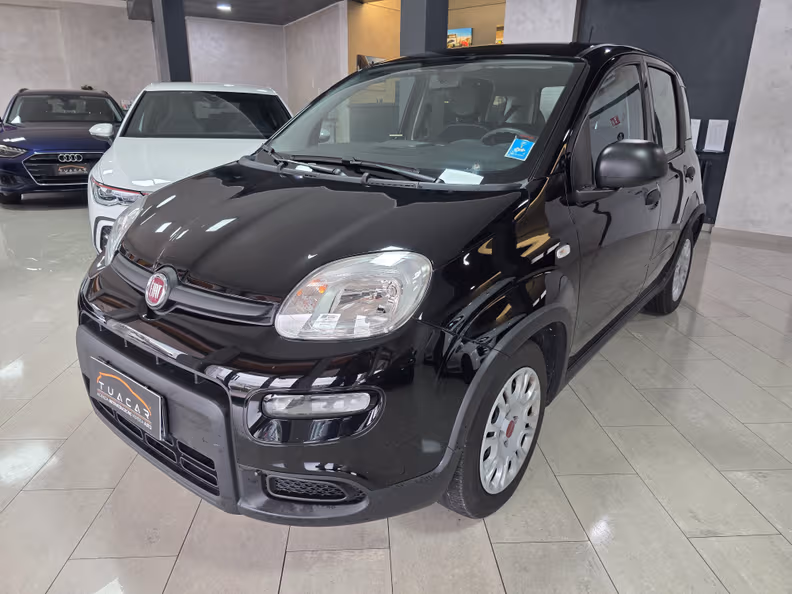 Fiat Panda - 1