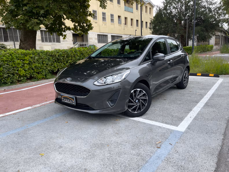 Ford Fiesta - 1