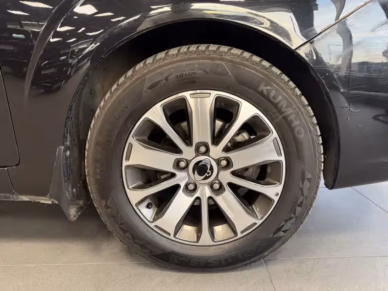 Ssangyong/kgm Rodius - 9