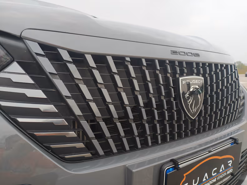 Peugeot 2008 - 25