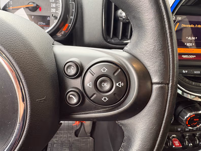 Mini Countryman - 16