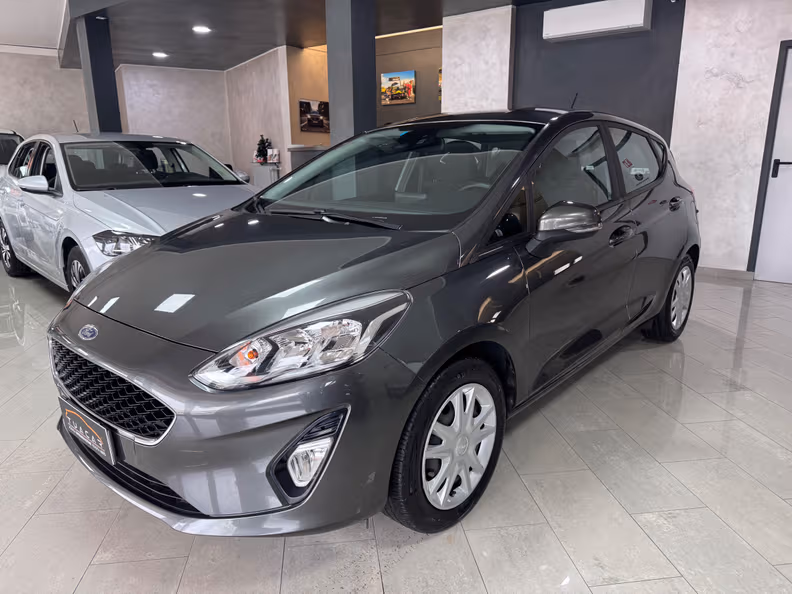 Ford Fiesta - 1